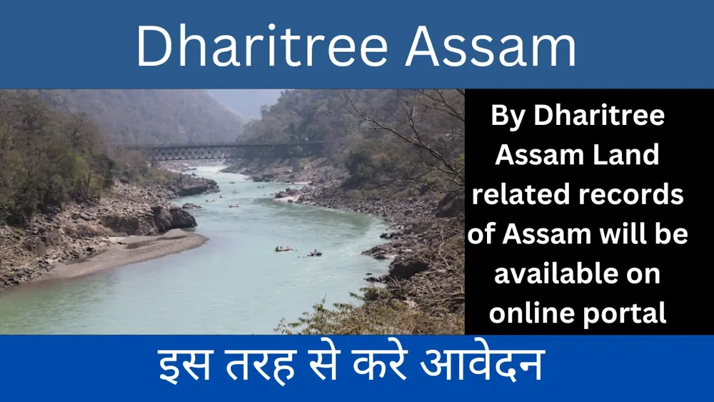 Dharitree Assam