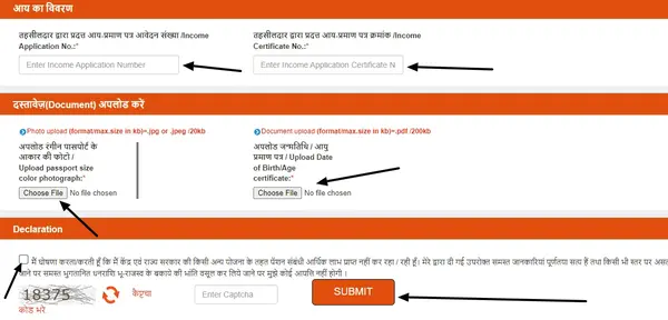 UP Vridha Pension Yojana Income and Document Upload